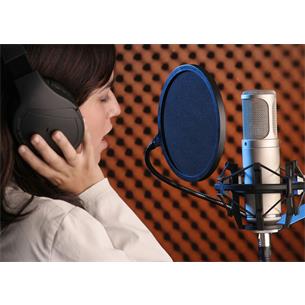 Microfono de condensador de valvula premium K2 2