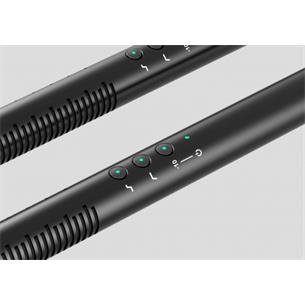 Micrófono de condensador de cañón NTG-4+ 2