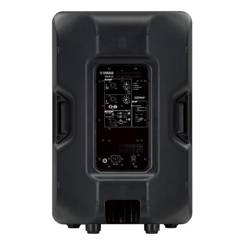 Bafle autoamplificado de 2 vias 15" DBR15