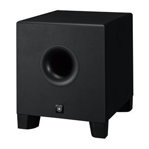 Subwoofer autoamplificado 8 pulgadas HS8S 2