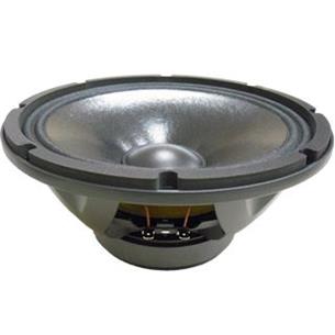 Altavoz de 10" para bajas frecuencias 10WR300