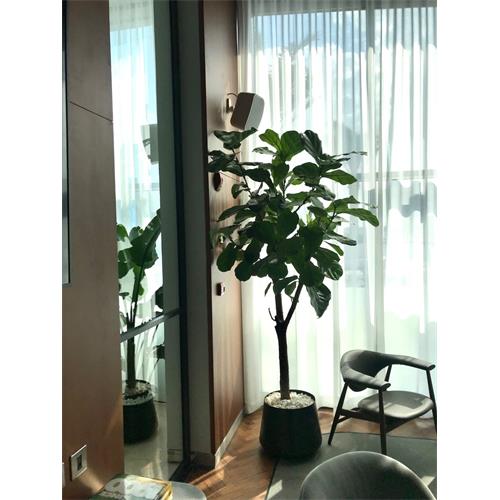 Caja acustica amplificada de 2 vias color blanco auto-off NEO 5 A ES Caja acustica amplificada de 2 vias color blanco auto-off NEO 5 A ES