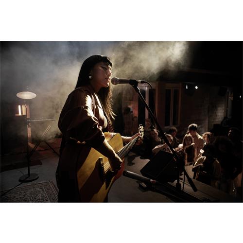 Microfono vocal SM58 LCE