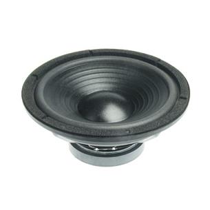 Altavoz Woofer de 10". Potencia: 100W.