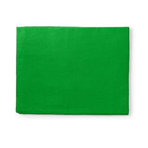 Fondo CromaKey 2.95x 2.95 Verde Nedis 2