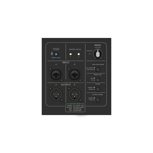 Subwoofer amplificado portatil a bateria THUMPSUB GO