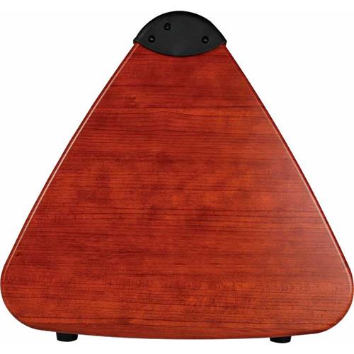 Amplificador para bateria electronica SK50