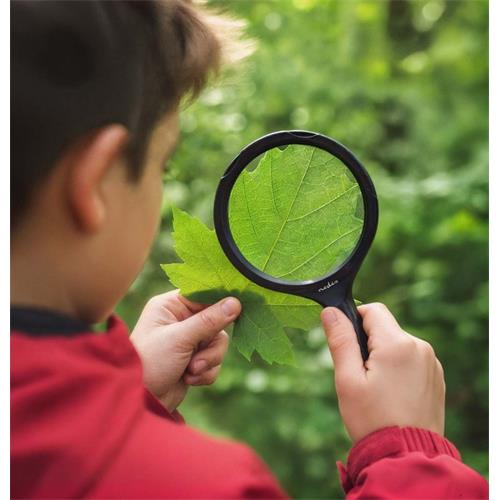 Lupa de mano Led 90mm 4+1 Nedis