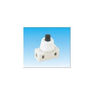 Interruptor pulsador 1C. 2P. 2A 250V