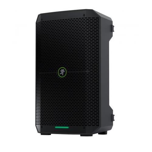 Sistema de audio portatil THUMP GO