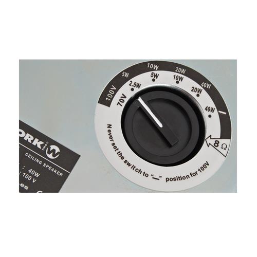 Altavoz de techo 8" IC811T