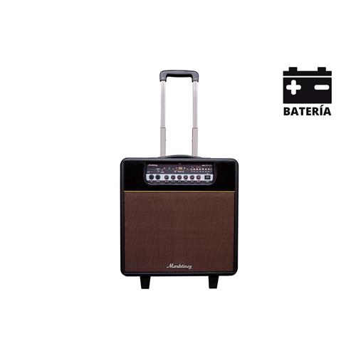 Amplificador para guitarra o bajo bateria MGB 150 USB