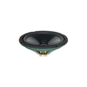 Altavoz de 12" en bajas frecuencias DSR-12