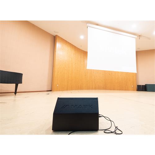 Bafle tipo monitor de 12" MM12