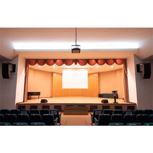 Bafle tipo monitor de 12" MM12