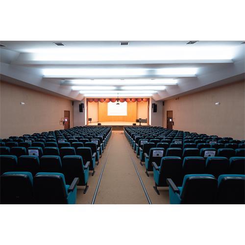 Bafle tipo monitor de 12" MM12